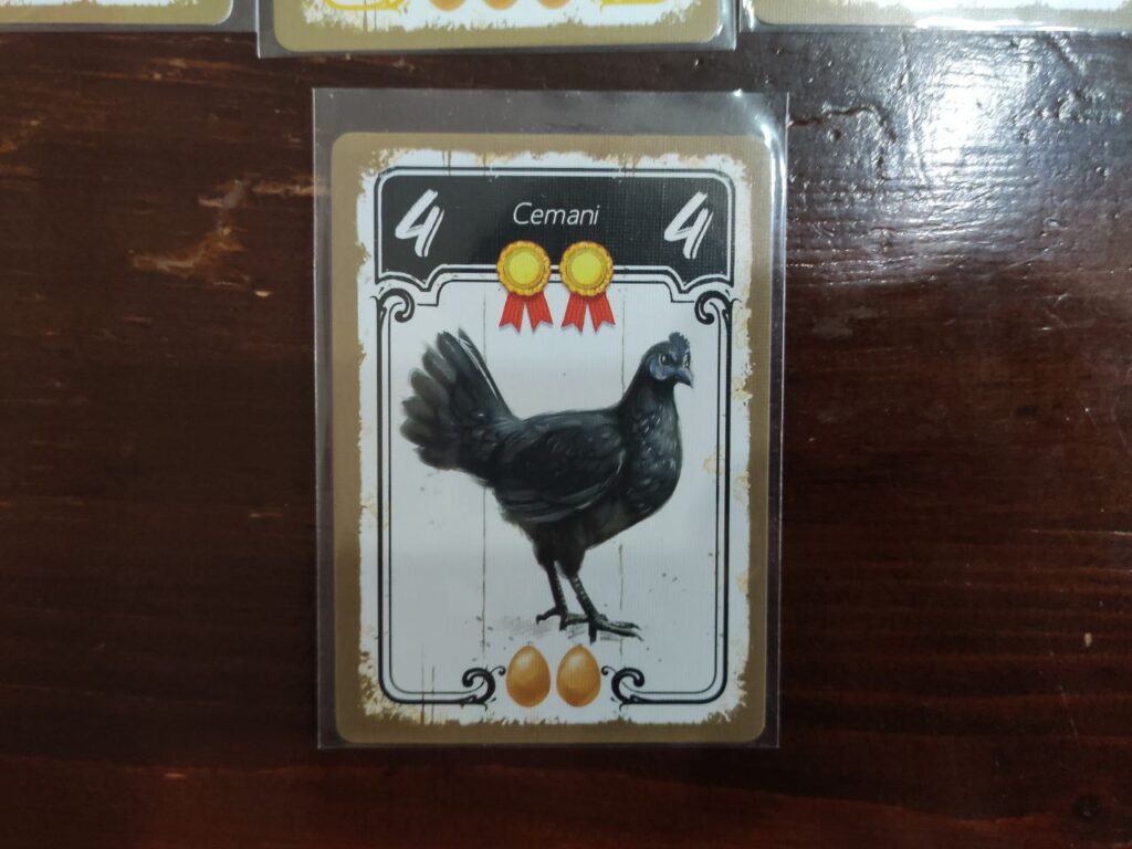 carta hens